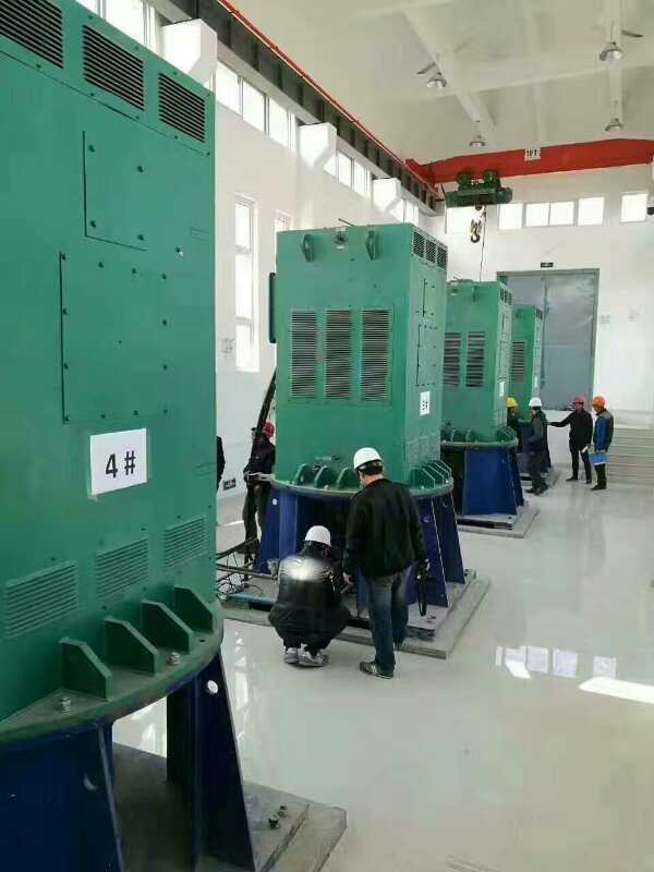 JR1512-8某污水处理厂使用我厂的立式高压电机安装现场