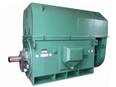 JR1512-8YKK系列高压电机