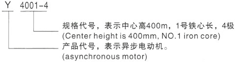 西安泰富西玛Y系列(H355-1000)高压JR1512-8三相异步电机型号说明