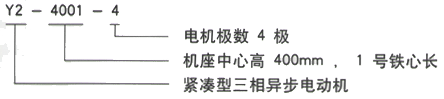 YR系列(H355-1000)高压JR1512-8三相异步电机西安西玛电机型号说明